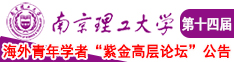 美女打泡艹大雷南京理工大学第十四届海外青年学者紫金论坛诚邀海内外英才！